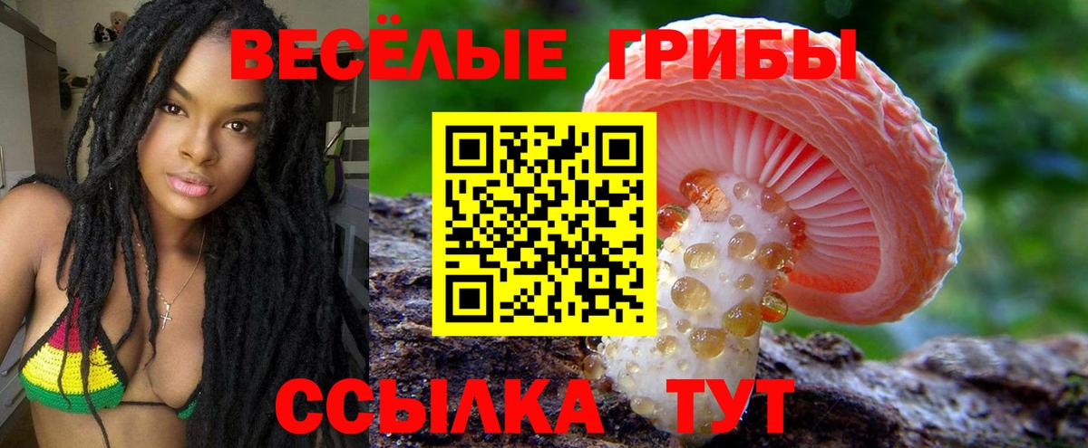 Галлюциногенные грибы ЛСД Тында