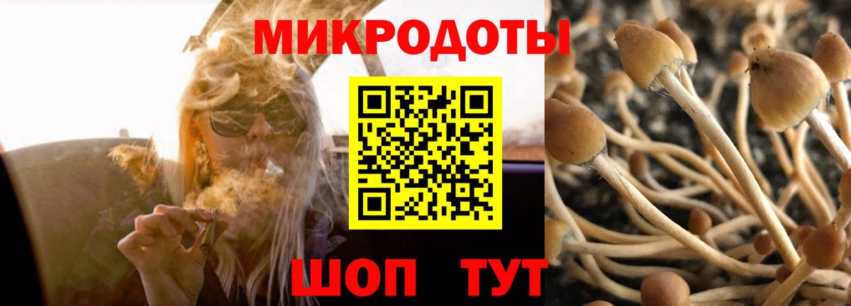 Галлюциногенные грибы GOLDEN TEACHER  Галлюциногенные грибы Magic Shrooms  Вход с VPN  Тында 